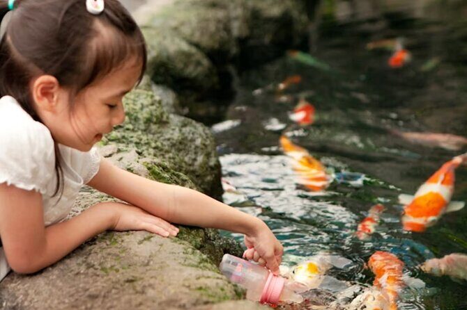 Pattaya Underwater World Admission Ticket - The Sum Up