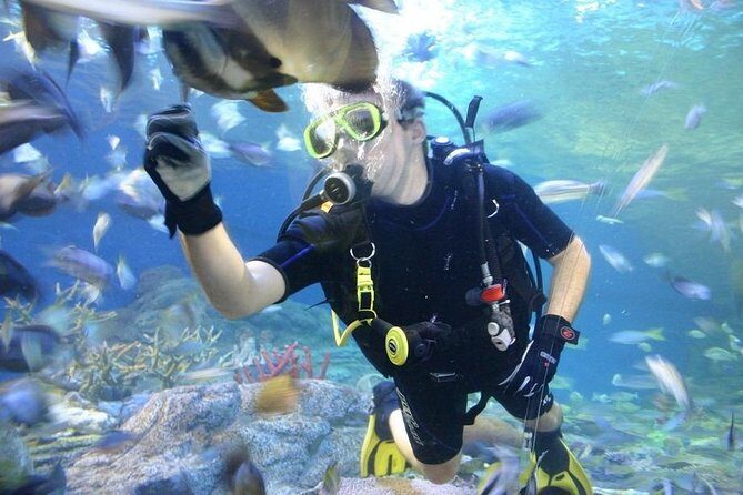 Pattaya Underwater World - Discover Ocean Treasures - In-Depth Look at Pattaya Underwater World