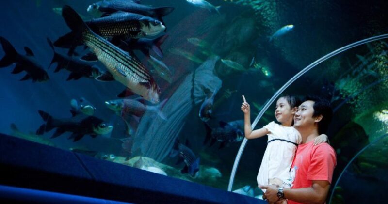 Pattaya: Underwater World Pattaya Aquarium Admission Ticket - Final Thoughts