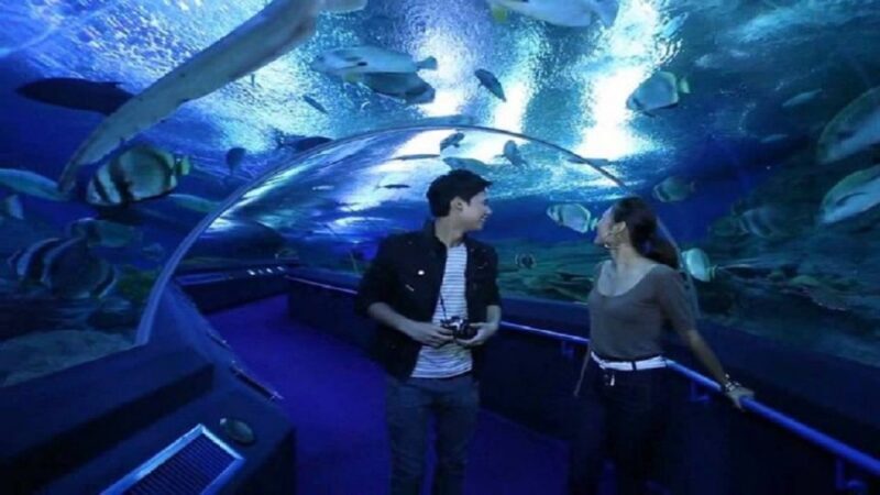 Pattaya: Underwater World Pattaya Aquarium Admission Ticket - FAQs about Underwater World Pattaya