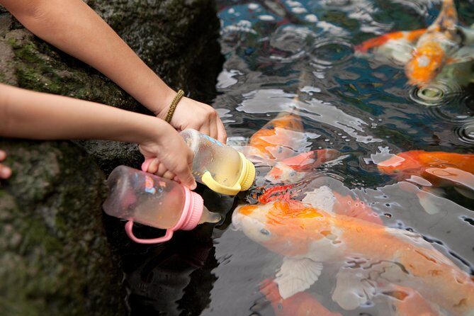 Pattaya Underwater World Tickets - Frequently Asked Questions