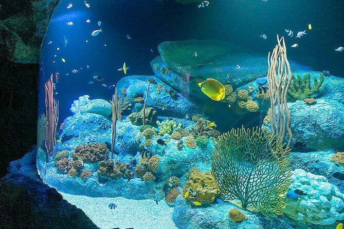 Pattaya Underwater World Tickets with Optional Hotel Pickup - Frequently Asked Questions