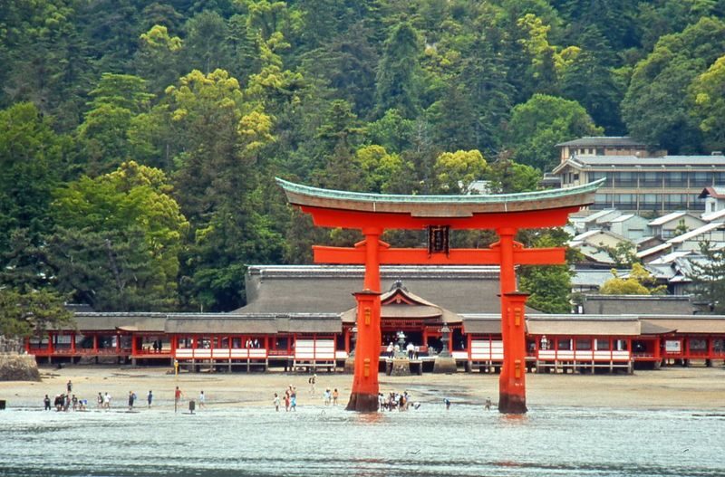 Peaceful Hiroshima & Miyajima UNESCO Bus Tour by Professional guide - Okonomiyaki brings a taste of Hiroshima