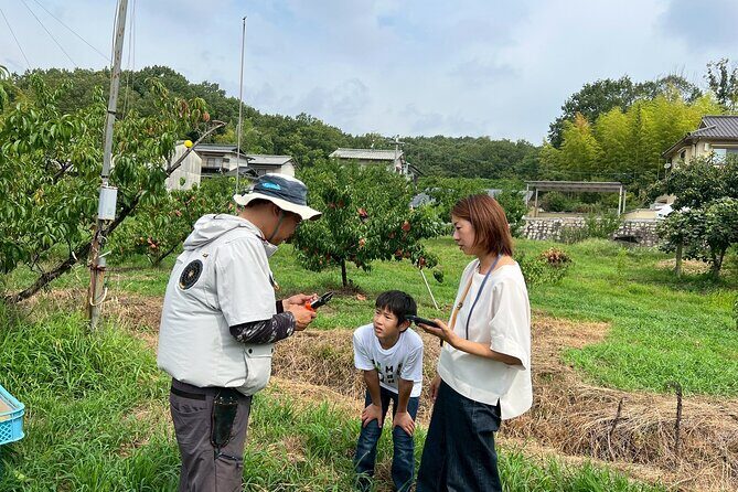 Peach Farm Walk & Farming Experience with a Peach Drink - Peach Farm Walk & Farming Experience with a Peach Drink: A Genuine Taste of Japan’s Peach Culture