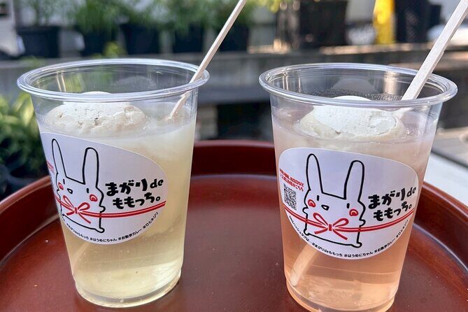 Peach Farm Walk & Farming Experience with a Peach Drink - Who Should Consider This Tour?