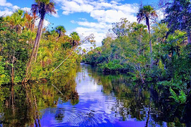 Peacock Bass Fishing Trip near Miami South Beach - Key Points