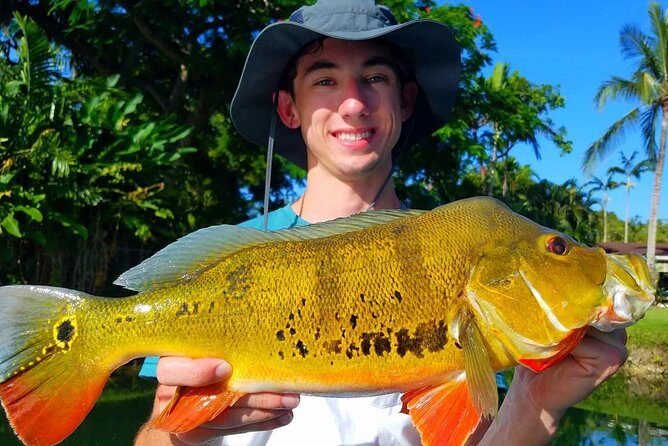 Peacock Bass Fishing Trips Near Key Largo - A Detailed Look at the Peacock Bass Fishing Trip Near Key Largo