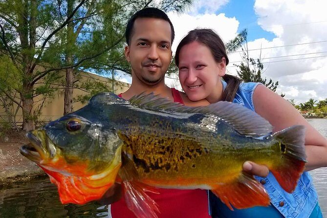 Peacock Bass Fishing Trips Near Miami Florida - A Close Look at the Miami Peacock Bass Fishing Experience