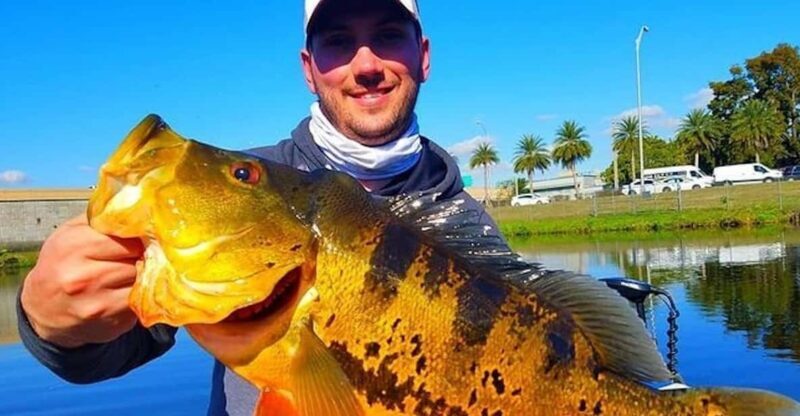 Peacock Bass Fishing Trips Near Miami Florida - The Itinerary in Detail