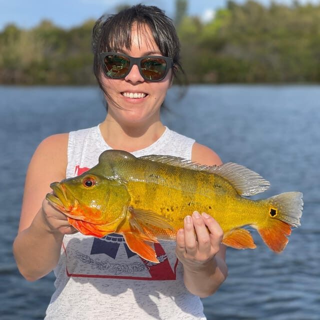 Peacock Bass Fishing Trips Near Miami Florida - Value and Practical Tips