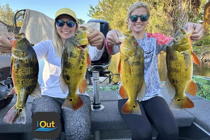 Peacock Bass Fishing Trips Near Miami Florida - The Sum Up