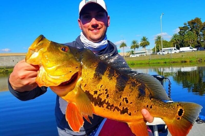 Peacock Bass Fishing Trips Near Miami Florida - FAQ