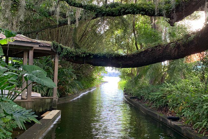 Peacocks, Presidents and Puzzles - The Winter Park Walking Tour + Boat - What You’ll See and Experience on the Tour