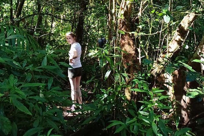 Peak, Paddle & Pedal - Exploring North Bali: An Authentic Day Out