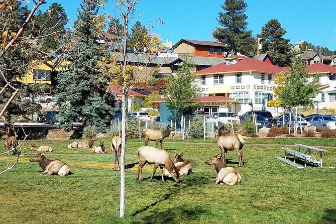Peak to Peak Scenic Byway and Estes Park - Who Would Love This Tour?