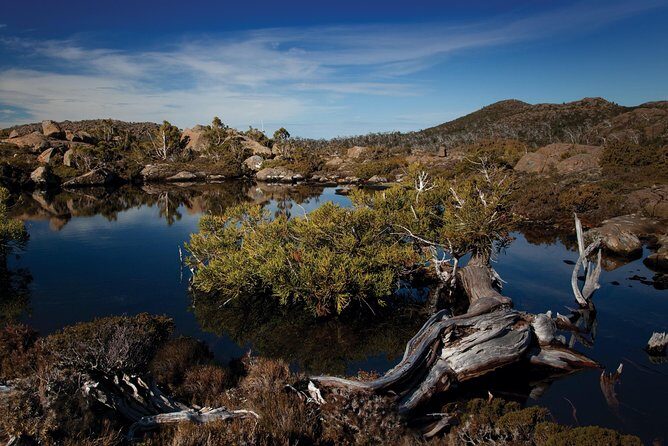 Peaks, Falls & Furry Locals: Mt. Field & the Derwent - Exploring Tasmania with Peaks, Falls & Furry Locals