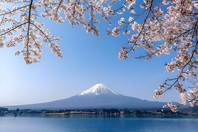 Peaks & Peace: Mt. Fuji, Fuji Stupa & Hakone Tour - Key Points
