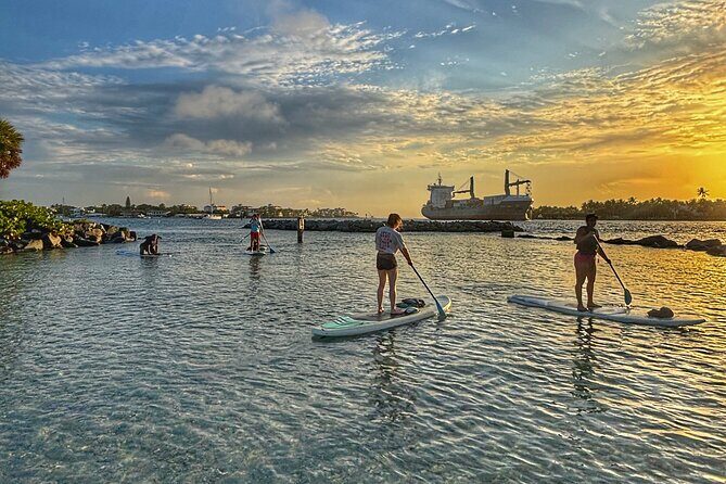 Peanut Island Sunrise Paddle Boarding Adventure - Discover the Magic of the Peanut Island Sunrise Paddle Boarding Adventure