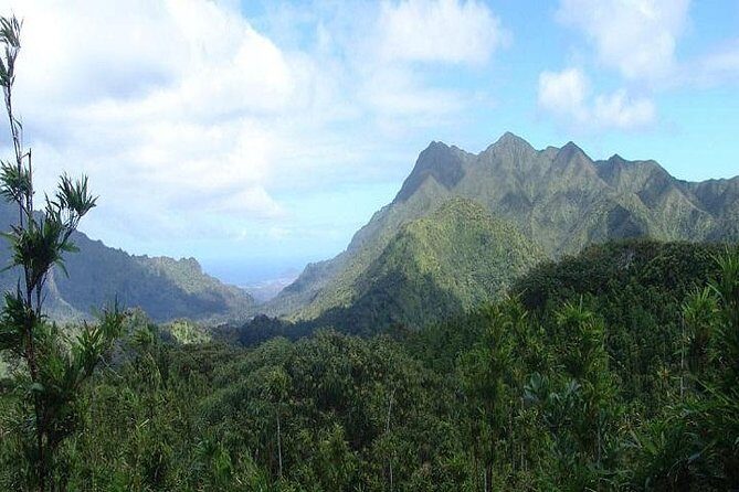 Pearl Harbor & Mini Circle Island Tour from Waikiki - The Sum Up