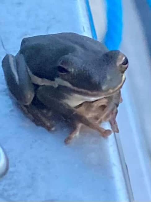 Pearlington: Devil's Swamp Eco Walking Tour - The Value of the Experience