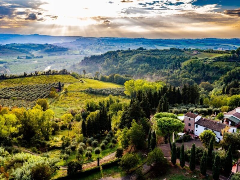 Peccioli: Wine tasting experience - Peccioli: Wine Tasting Experience — A Genuine Taste of Tuscany