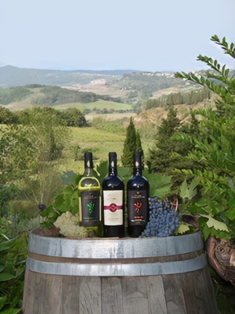 Peccioli: Wine tasting experience - Key Points