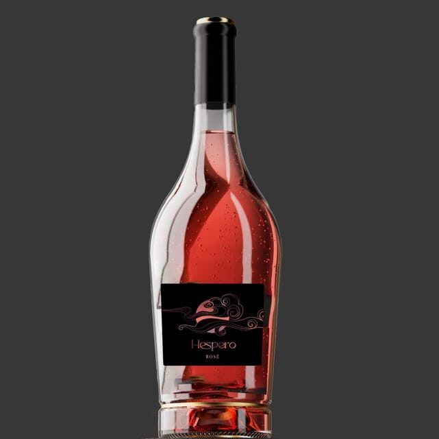 Peccioli: Wine tasting experience - Practical Details and Tips