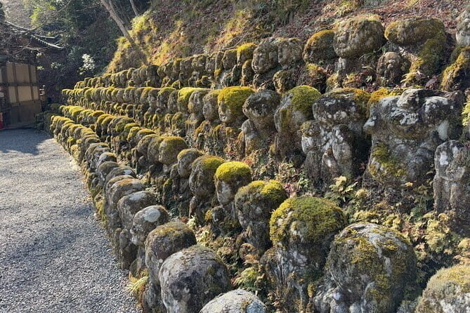 Pedal Adventure Kyoto's iconic landmarks on an e-bike tour - Who Is This Tour Best For?