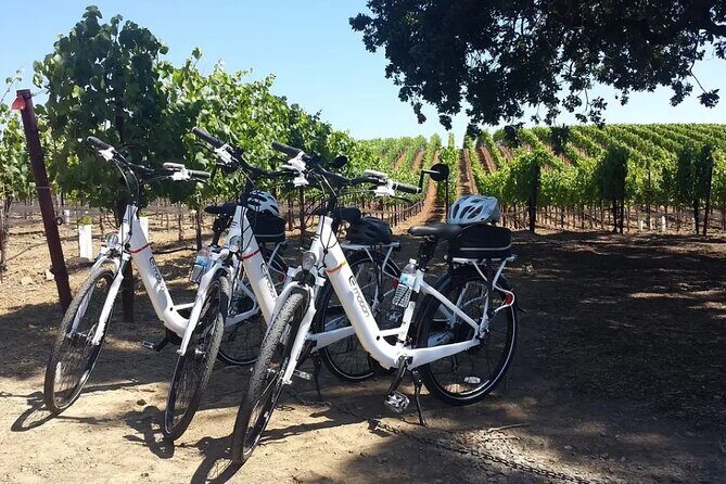 Pedal and Paddle Wine Tour in Arizona - The Sum Up: Is It Worth It?