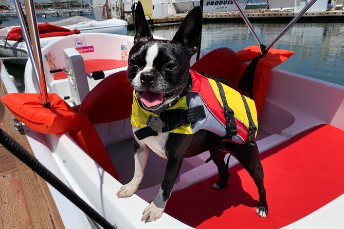 Pedal Boat rental in hidden part of San Diego Bay! Family fun - FAQ