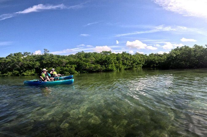 Pedal Kayak Mangrove Tunnel Tour in Bradenton - Frequently Asked Questions
