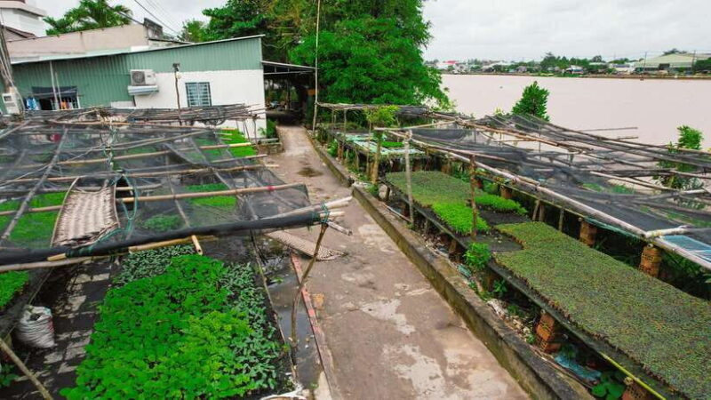 Pedaling the mekong's rural tracks - Can Tho Premium tour - FAQs