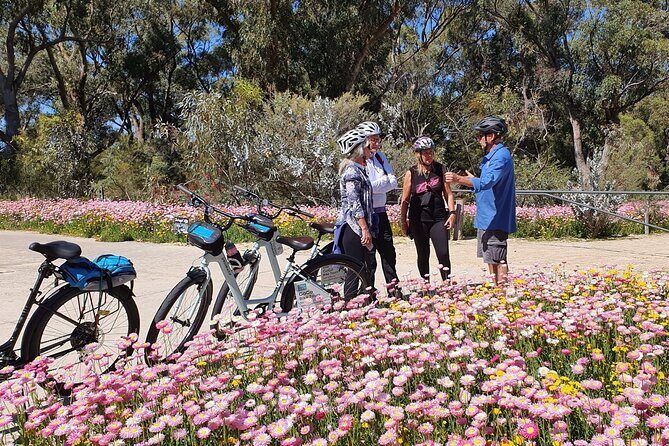Pedals & Petals - Discovering Wildflowers Bike Tour Kings Park - Pedals & Petals - Discovering Wildflowers Bike Tour Kings Park: A Practical Guide for Nature and City Lovers