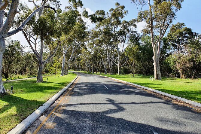 Pedals & Petals - Discovering Wildflowers Bike Tour Kings Park - Key Points