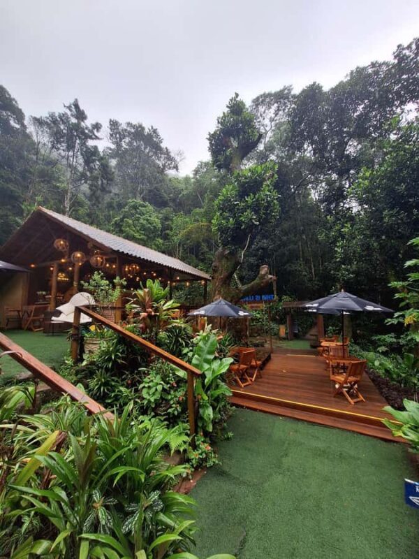 Pedra Bonita Trail: The easiest trail with a beautiful view of Rio - Who Is This Tour Best for?