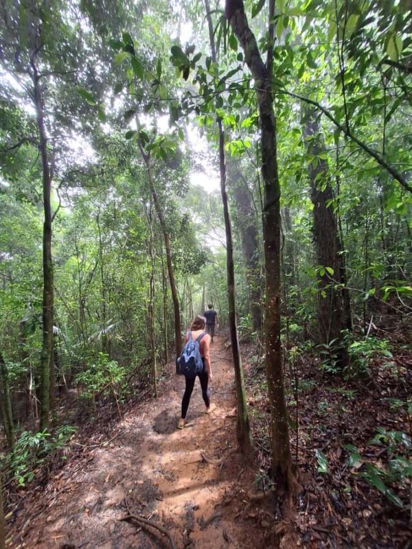 Pedra Bonita Trail: The easiest trail with a beautiful view of Rio - FAQs