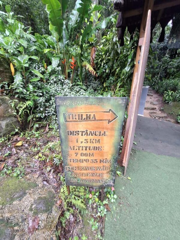 Pedra Bonita Trail: The easiest trail with a beautiful view of Rio - Final Thoughts