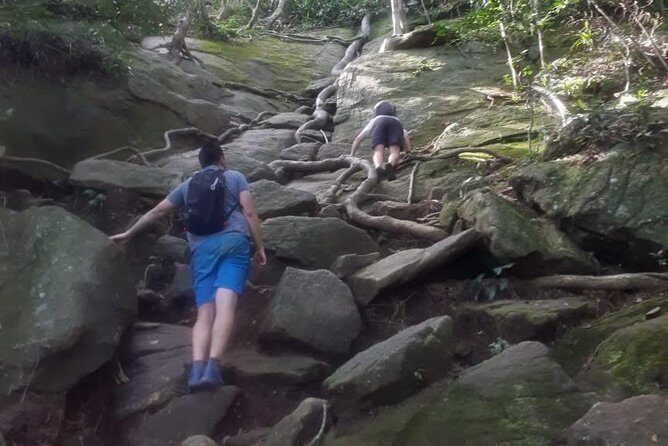 Pedra da Gavea Hike - Best Prices - Small Groups - Pedra da Gavea Hike — An Adventure for Outdoor Enthusiasts
