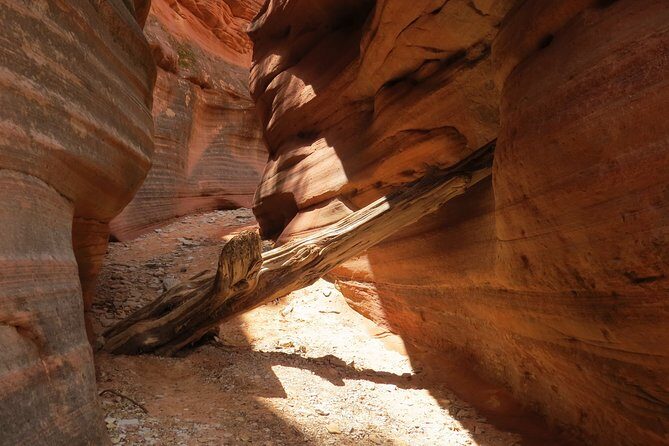 Peekaboo Slot Canyon 4WD Tour - Introduction: Exploring the Hidden Gem of Zion National Park