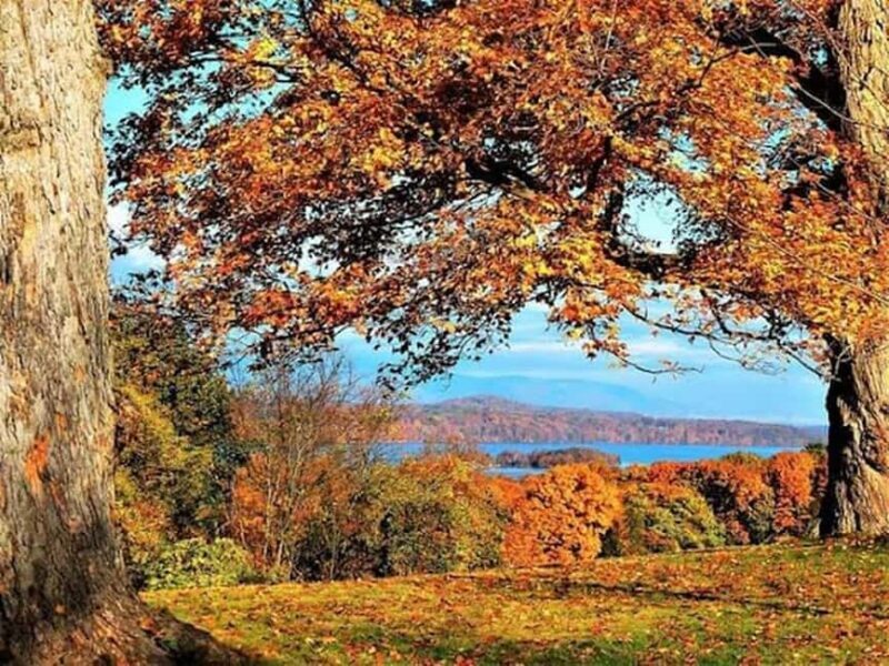 Peekskill, New York: Oktoberfest Cruise with Live Music - Who Should Consider This Experience?