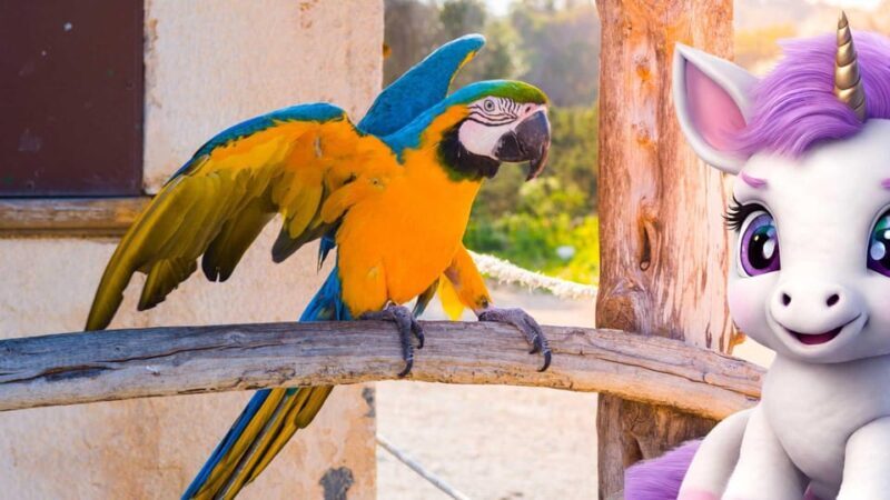 Peguera: The lovely Magical Creatures of Peguera,family walk - Who Is This Experience Best For?
