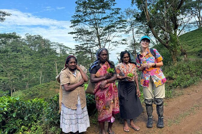 Pekoe Trail Stage 1- Scenic Trek from Hanthana to Galaha - Pricing and Value