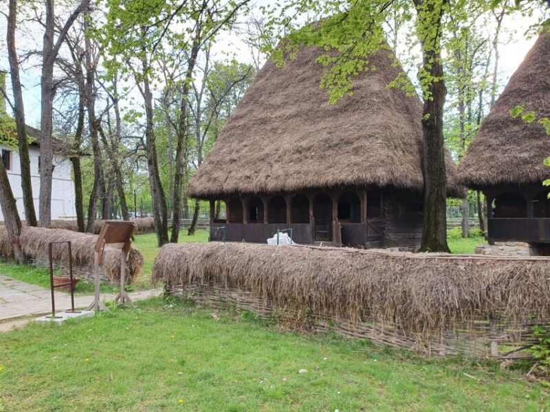 Pele Castle, Bran Castles and Brasov City - Private Tour - The Sum Up