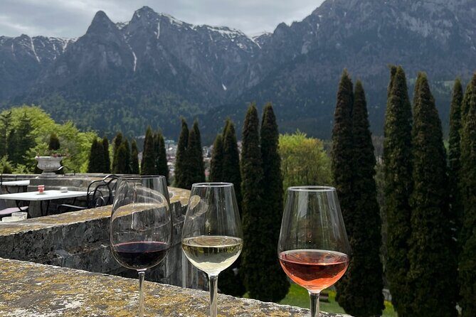 Peles & Cantacuzino Castles: Gourmet Wine & Cultural Day trip - The Journey Back to Bucharest