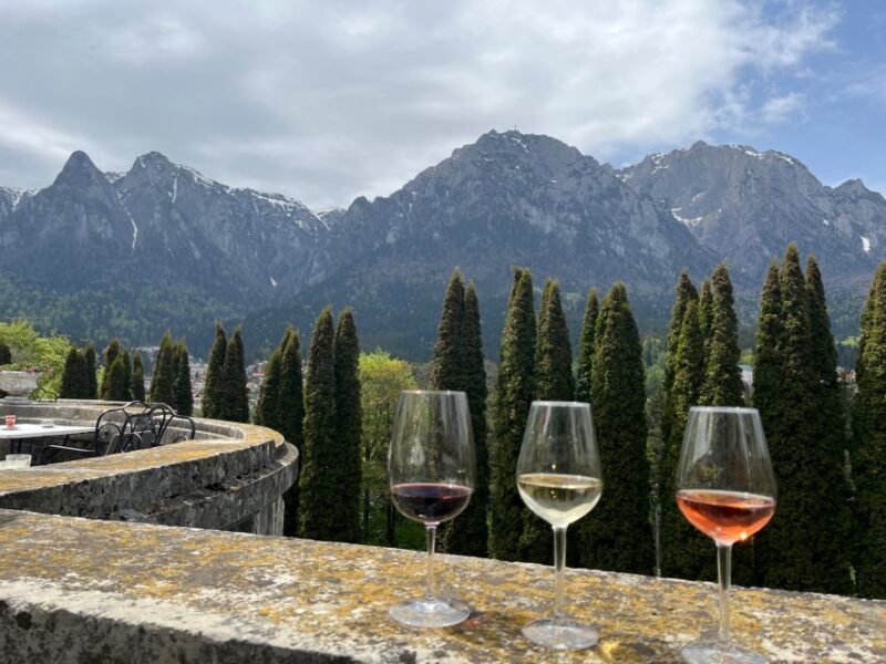 Peles & Cantacuzino Castles: Gourmet Wine & Cultural trip - Authentic Experiences from Fellow Travelers