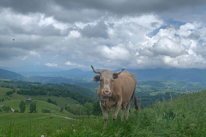 Peles castle and authentic Romanian village experience - day trip - Practical Details and What You’ll Get