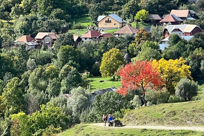 Peles castle and authentic Romanian village experience - day trip - The Sum Up