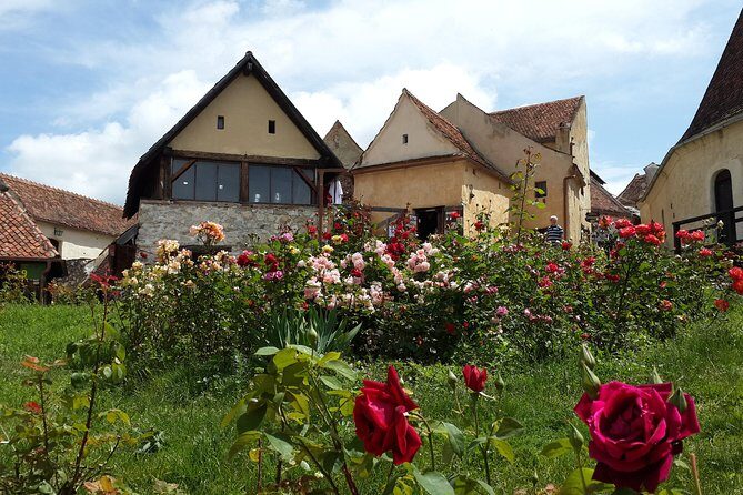 Peles Castle, Bran Castle, Rasnov Fortress and Sinaia Monastery Tour from Brasov - Key Points