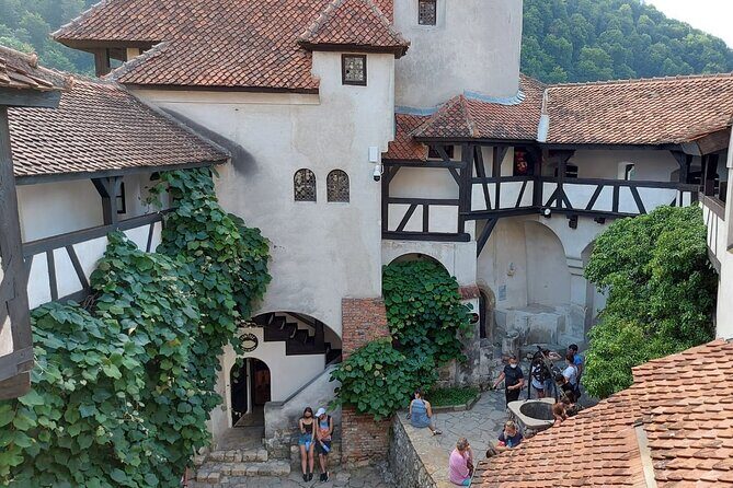 Peles Castle, Dracula Castle and Brasov old town - private tour from Bucharest - A detailed look at the tour experience