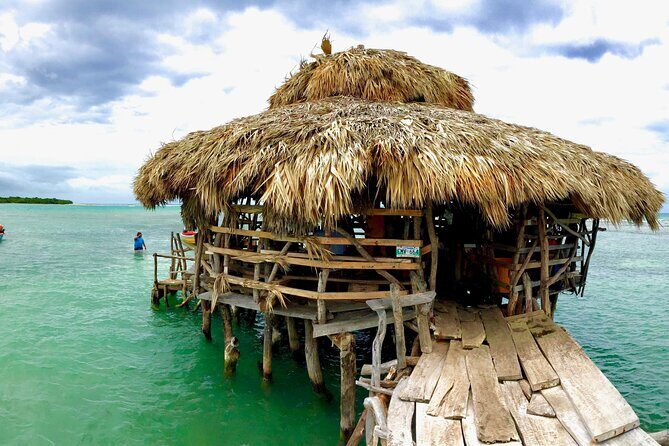 Pelican Bar & Ricks Cafe Negril Private Tour - Who Will Love This Tour?
